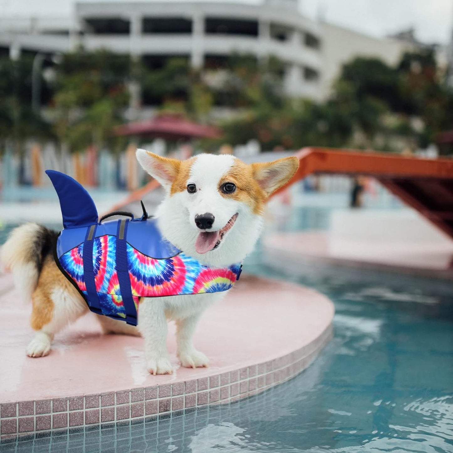 Dog Life Jacket Pet Life Safety Vest for Swimming Boating, Dog Shark Life Jackets Dog Lifesavers Swimsuits for Pool, Dog Water Floatation Vest for Small Medium Large Dogs (Blue Bandhnu, XL)