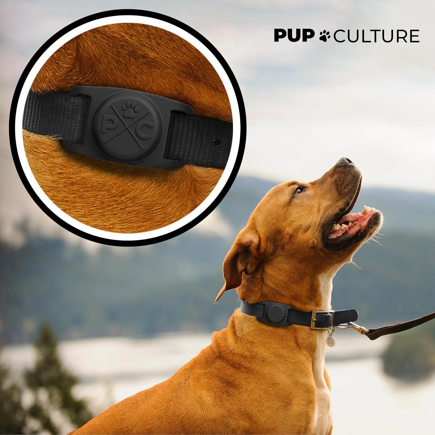 Airtag Dog Collar | Durable & Protective Dog Airtag Holder - Track Your Pet Using Apple Airtag Technology - Dog Collar Airtag Holder -For Dogs and Cats